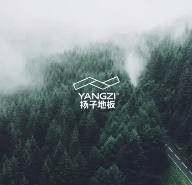 地板十大品牌:价值链重塑、用户关系进化与